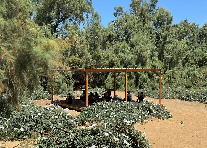 Rancho Dominique Valle De Guadalupe